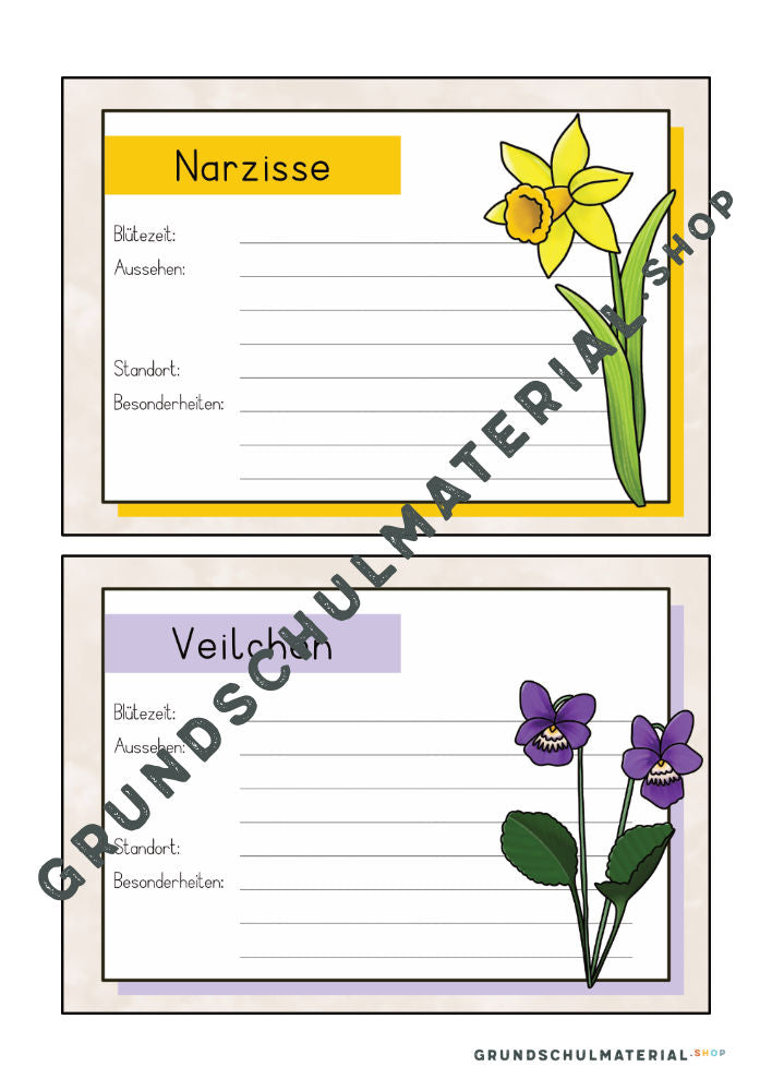 Frühblüher Steckbriefe