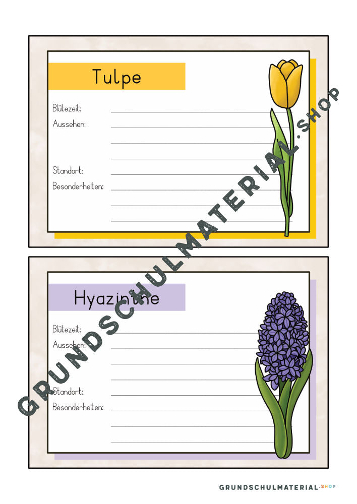 Materialpaket Frühblüher