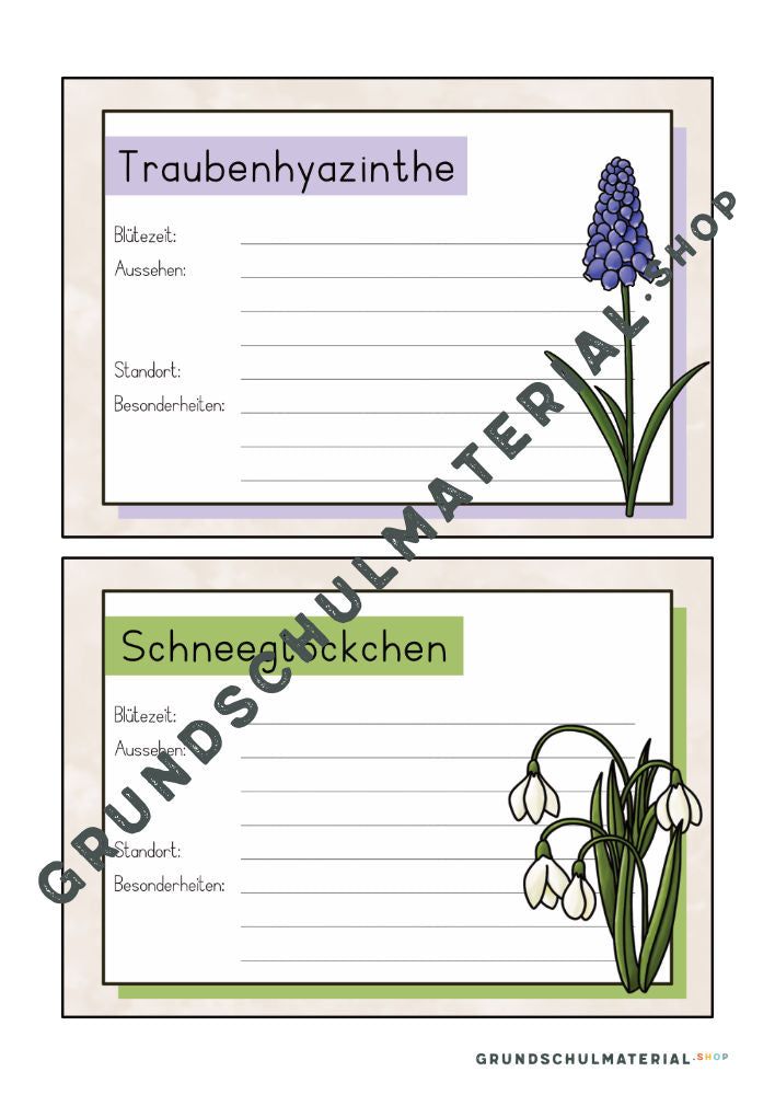 Materialpaket Frühblüher