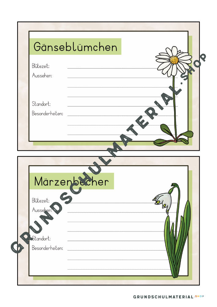 Materialpaket Frühblüher