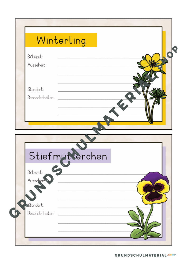 Materialpaket Frühblüher