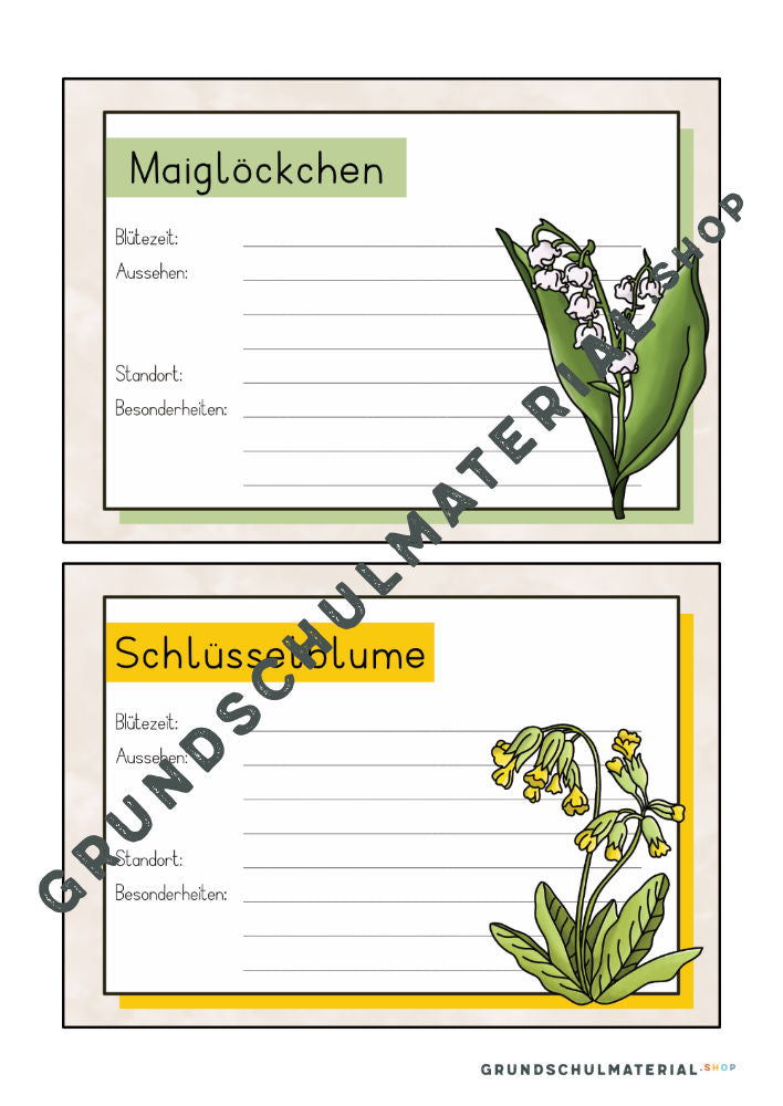 Materialpaket Frühblüher