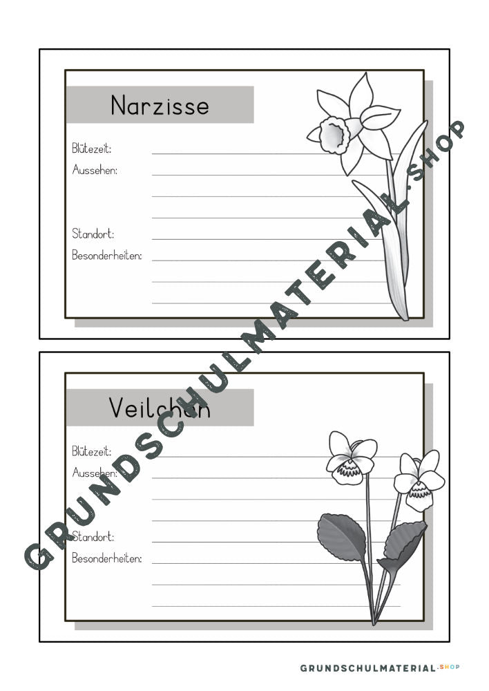Materialpaket Frühblüher