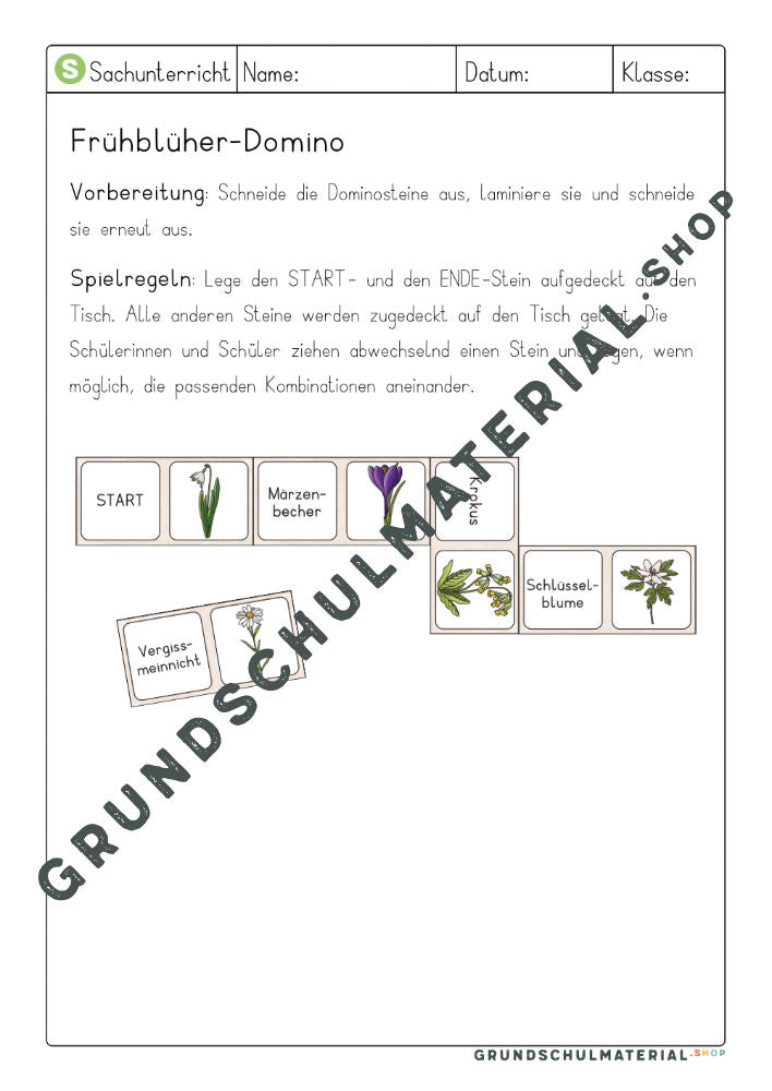 Frühblüher Domino