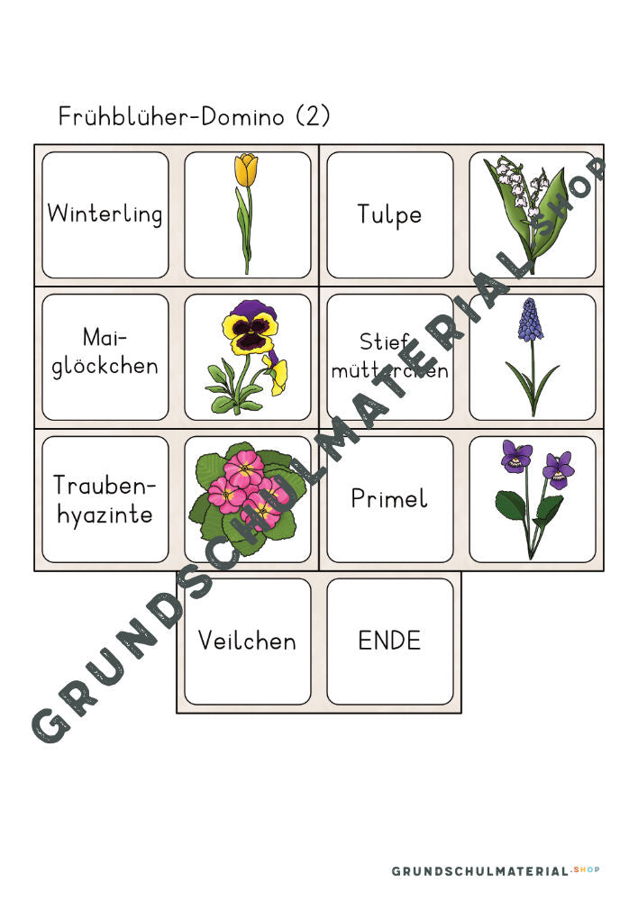 Materialpaket Frühblüher