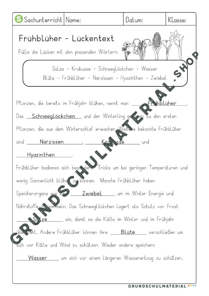 Materialpaket Frühblüher