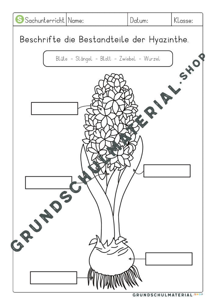 Materialpaket Frühblüher