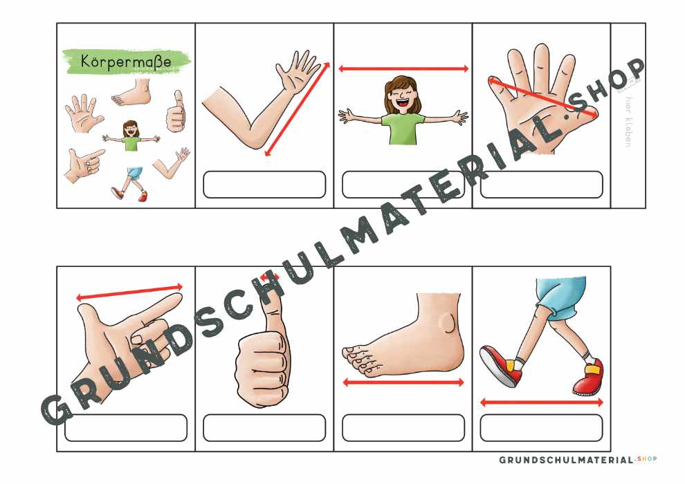 Körpermaße Leporello