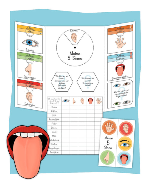 Lapbook "Meine 5 Sinne"