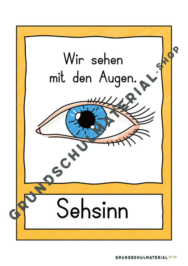 Materialpaket "Meine 5 Sinne"