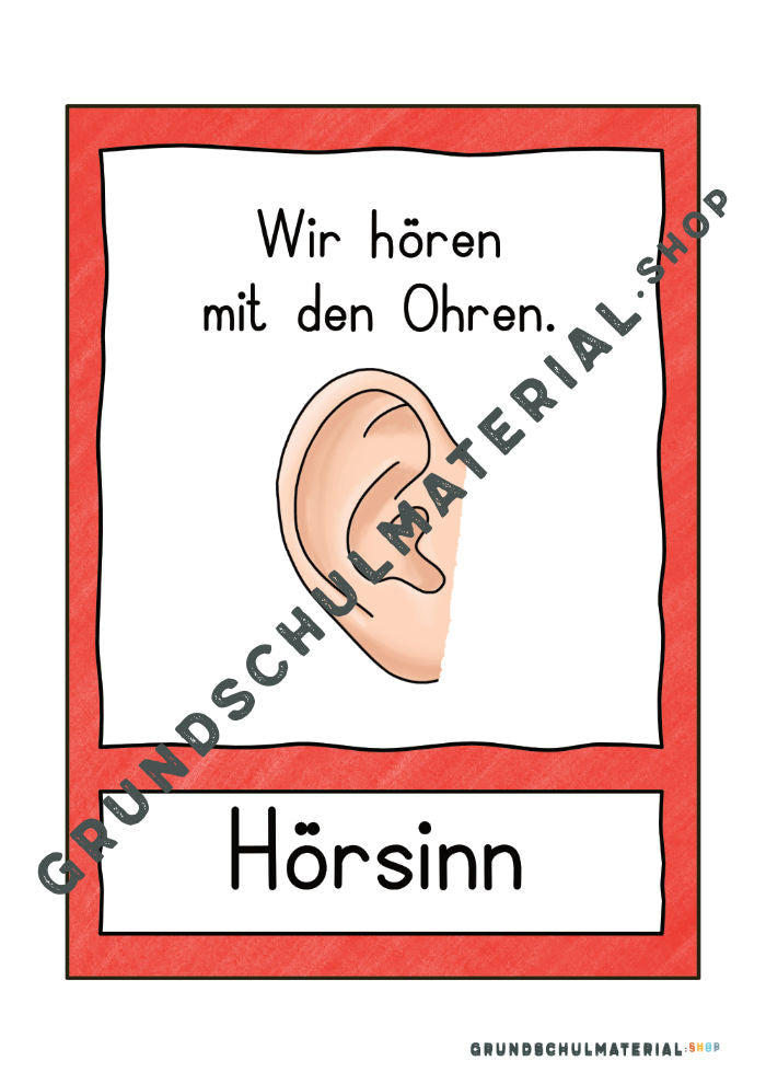 Materialpaket "Meine 5 Sinne"