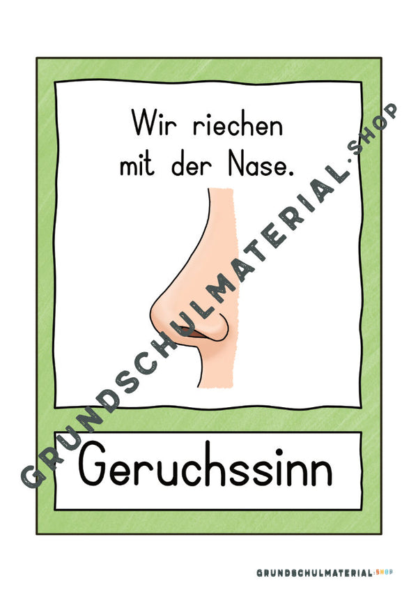 Materialpaket "Meine 5 Sinne"