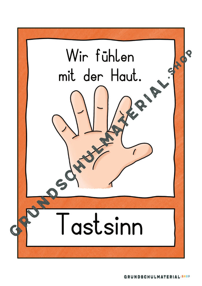 Materialpaket "Meine 5 Sinne"