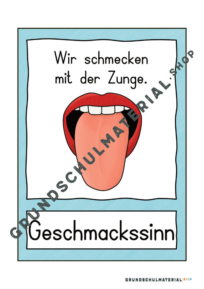 Materialpaket "Meine 5 Sinne"