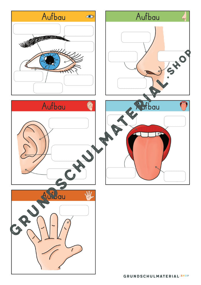 Materialpaket "Meine 5 Sinne"
