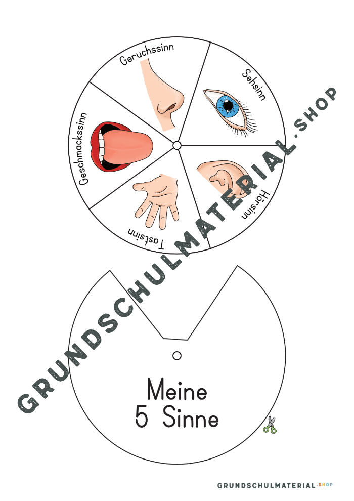 Materialpaket "Meine 5 Sinne"