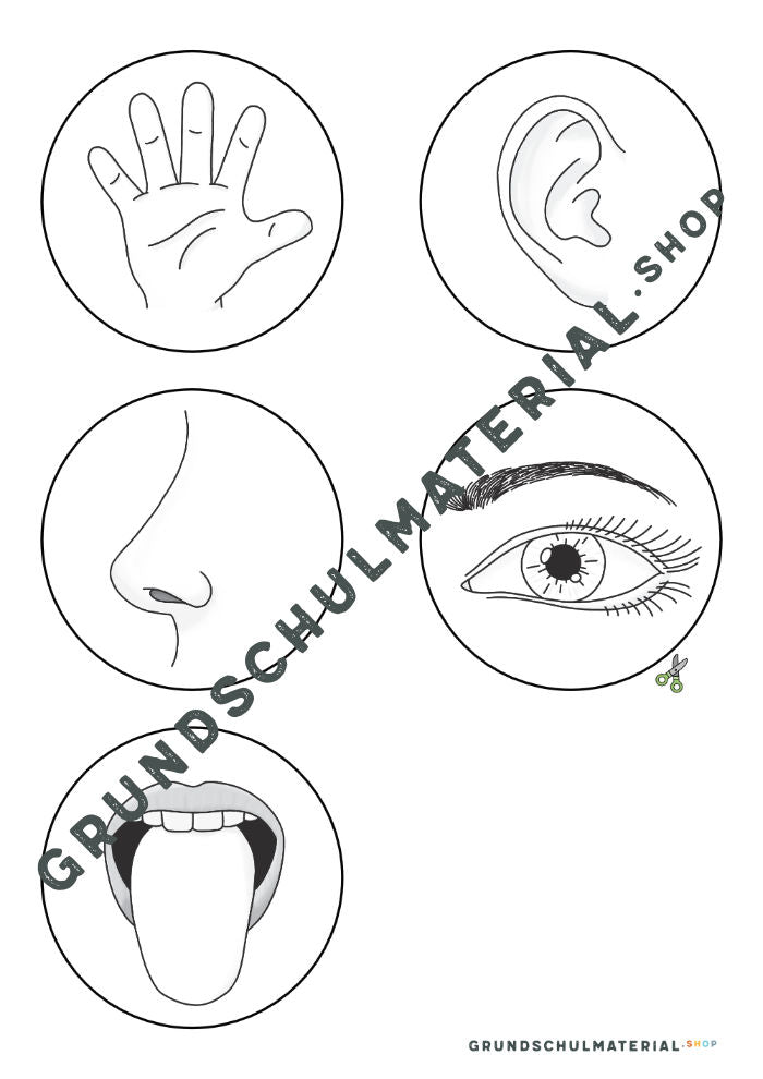 Materialpaket "Meine 5 Sinne"