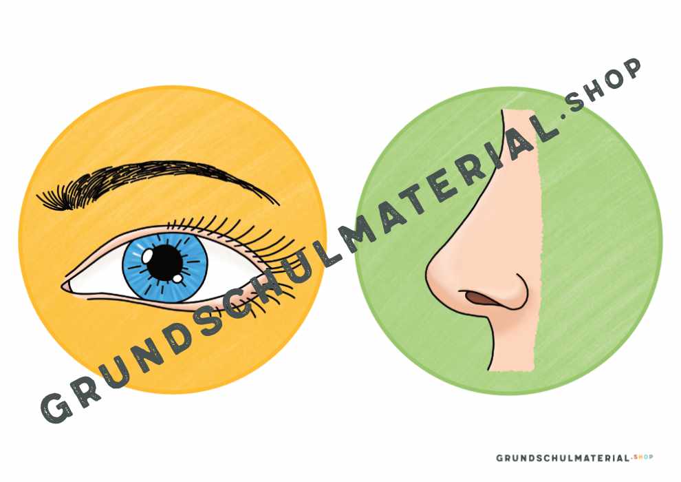 Materialpaket "Meine 5 Sinne"