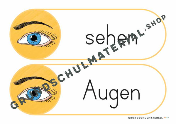 Materialpaket "Meine 5 Sinne"