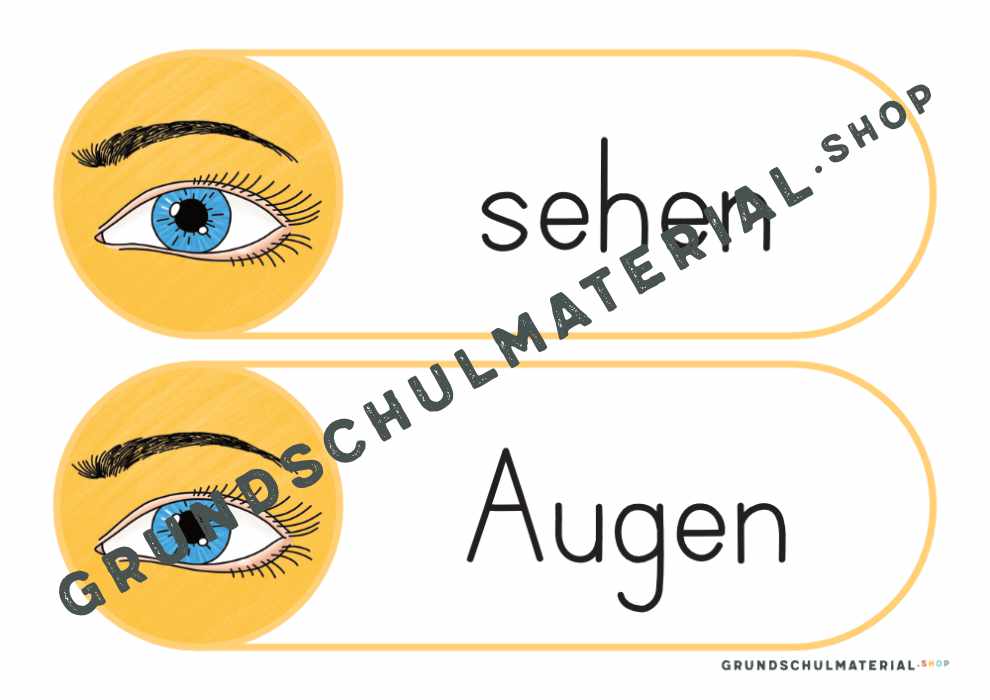 Materialpaket "Meine 5 Sinne"
