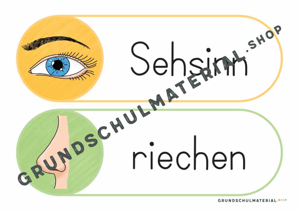 Materialpaket "Meine 5 Sinne"