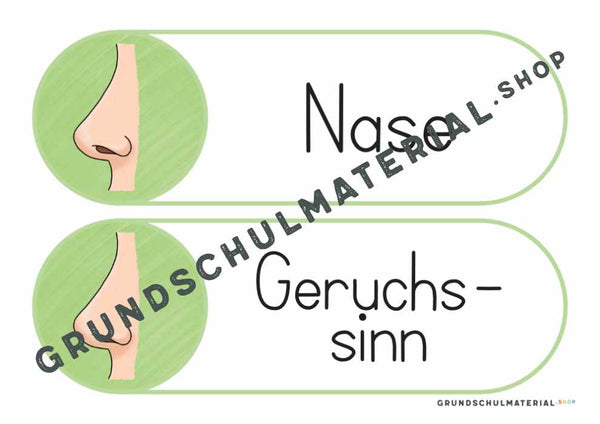 Materialpaket "Meine 5 Sinne"
