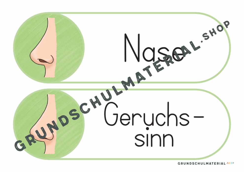 Materialpaket "Meine 5 Sinne"
