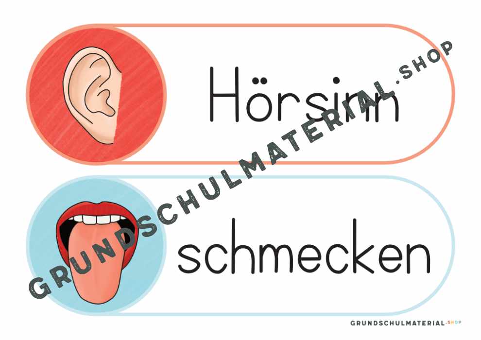 Materialpaket "Meine 5 Sinne"