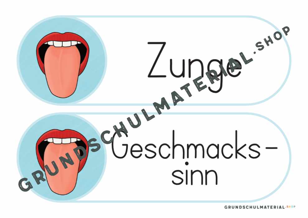 Materialpaket "Meine 5 Sinne"
