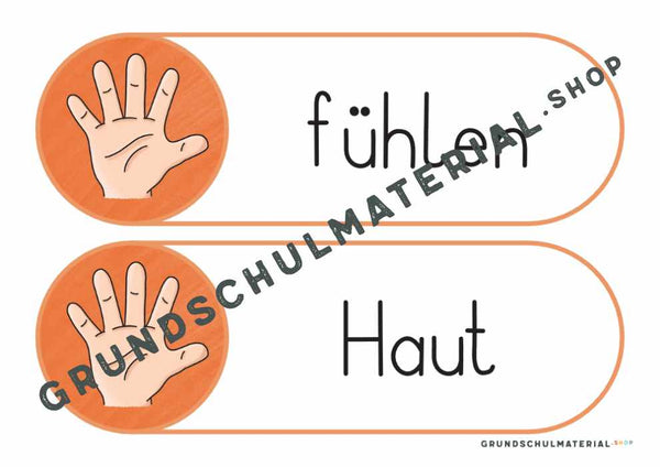 Materialpaket "Meine 5 Sinne"