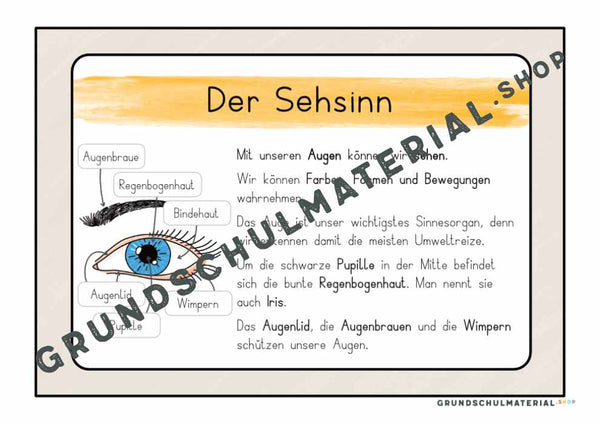 Materialpaket "Meine 5 Sinne"