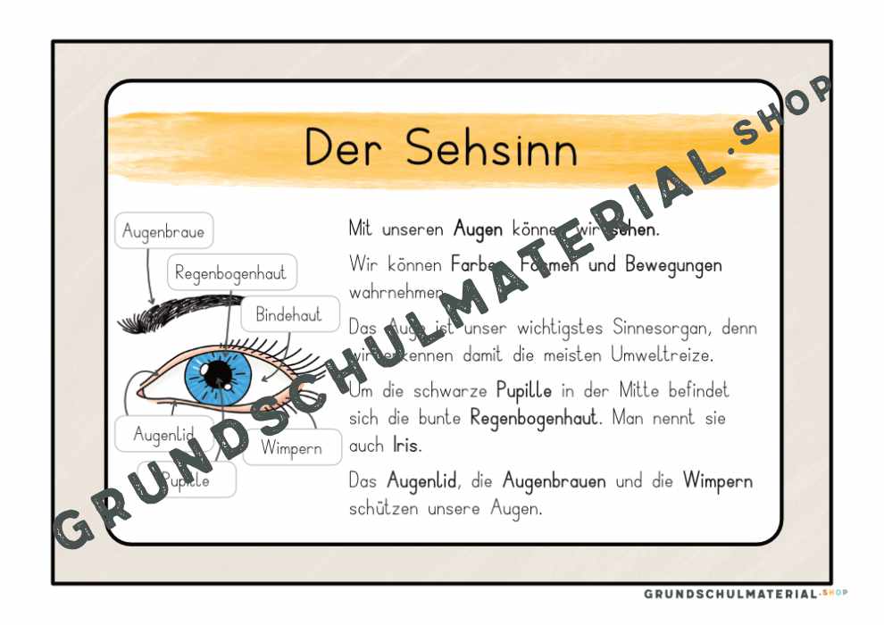 Materialpaket "Meine 5 Sinne"