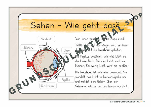 Materialpaket "Meine 5 Sinne"