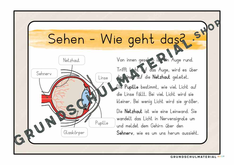 Materialpaket "Meine 5 Sinne"