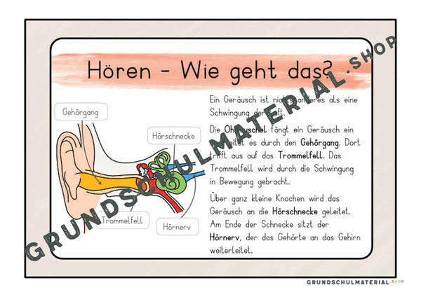 Materialpaket "Meine 5 Sinne"