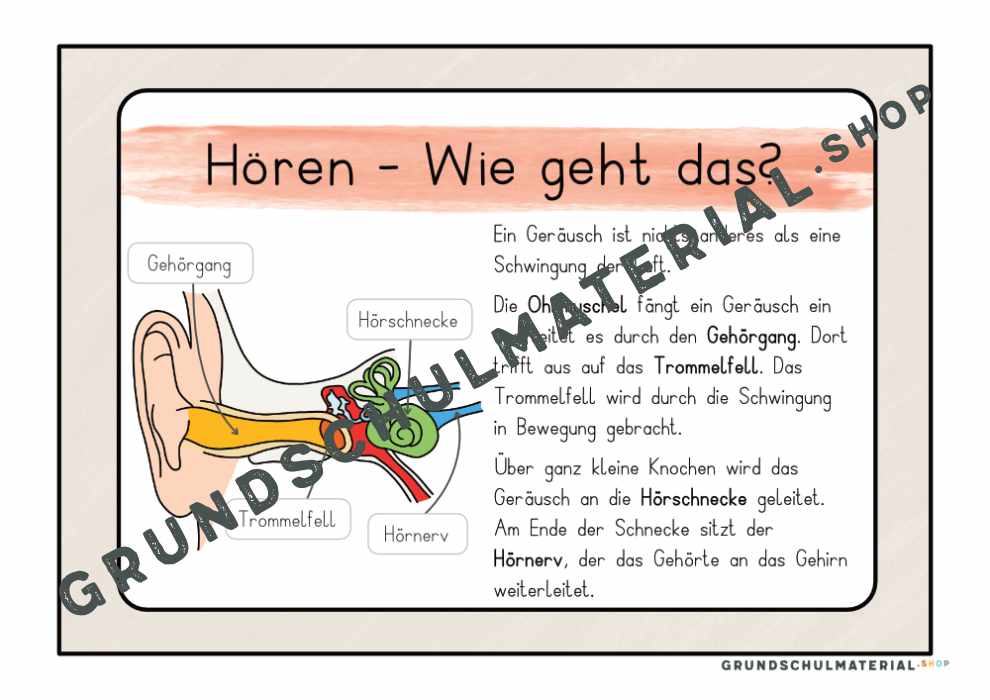 Materialpaket "Meine 5 Sinne"