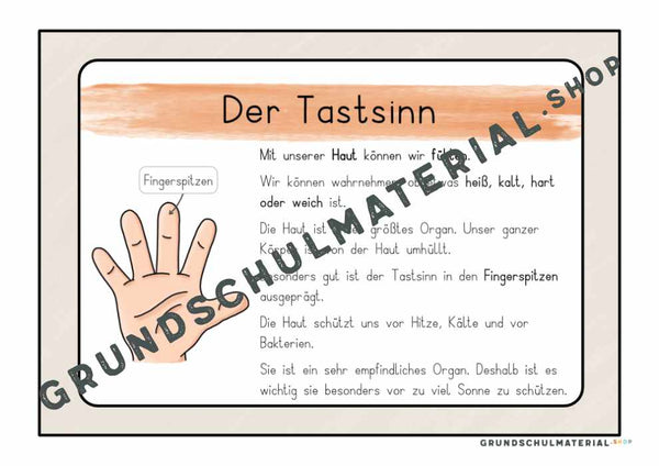 Materialpaket "Meine 5 Sinne"