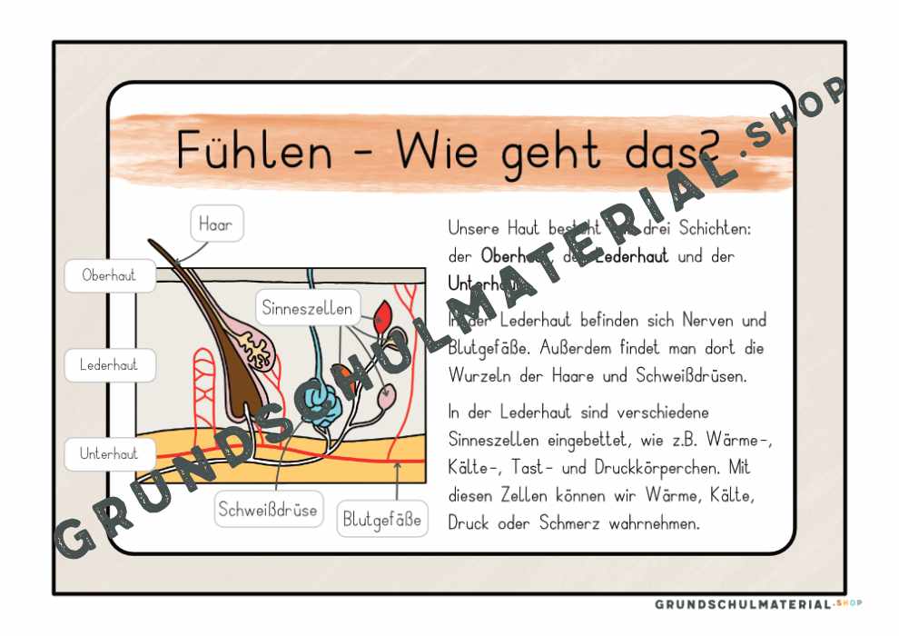 Materialpaket "Meine 5 Sinne"