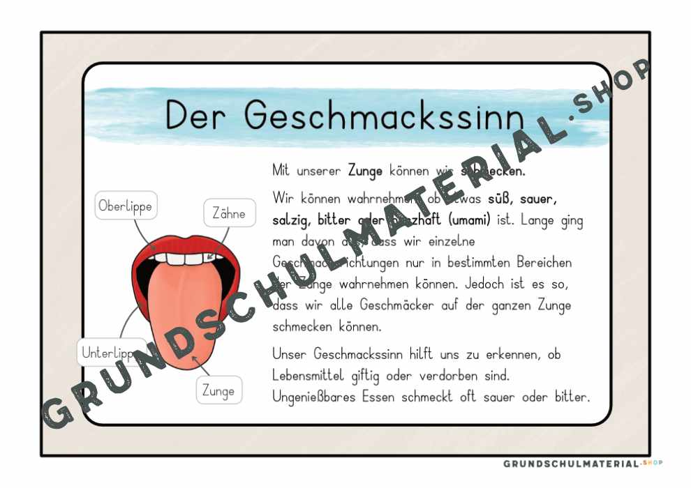 Materialpaket "Meine 5 Sinne"
