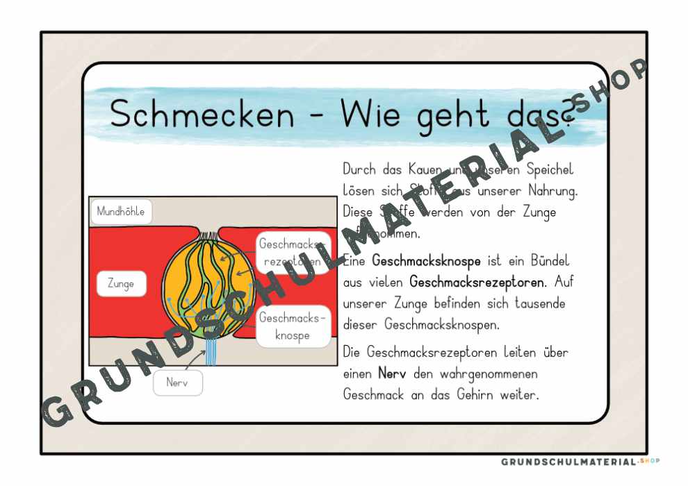 Materialpaket "Meine 5 Sinne"