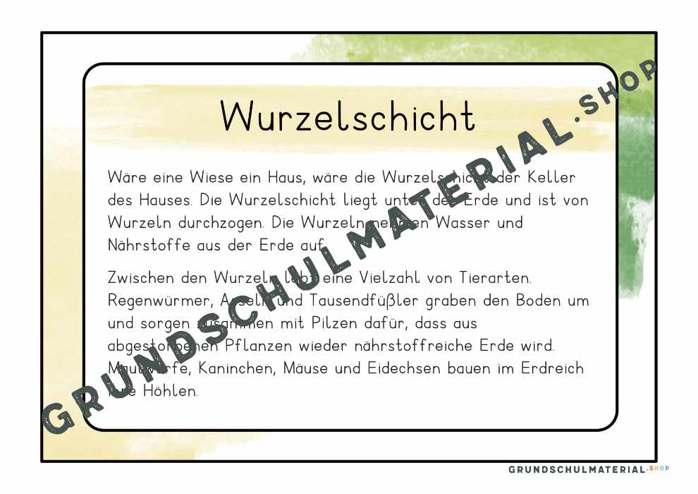 Materialpaket "Lebensraum Wiese"