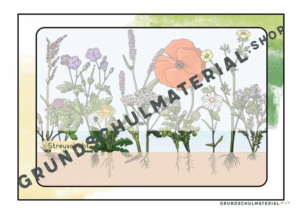 Materialpaket "Lebensraum Wiese"