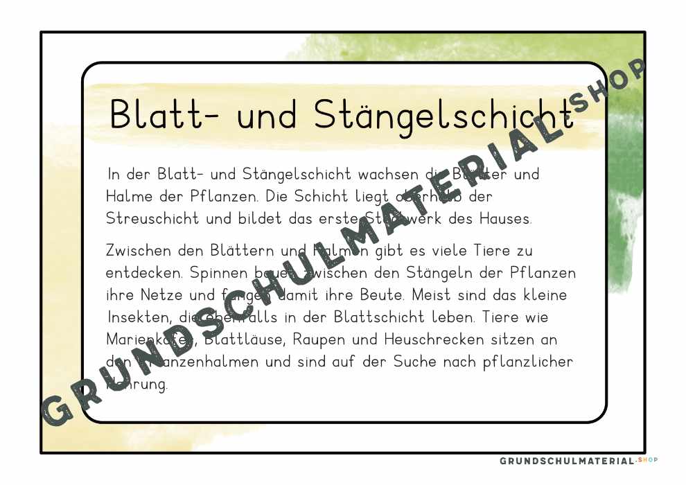 Materialpaket "Lebensraum Wiese"