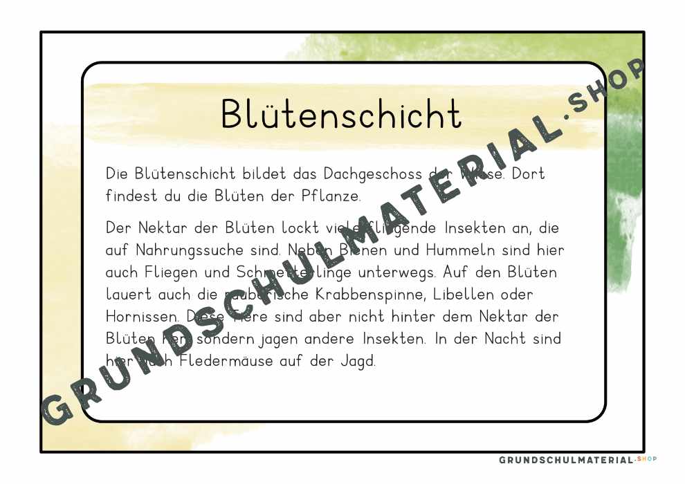 Materialpaket "Lebensraum Wiese"