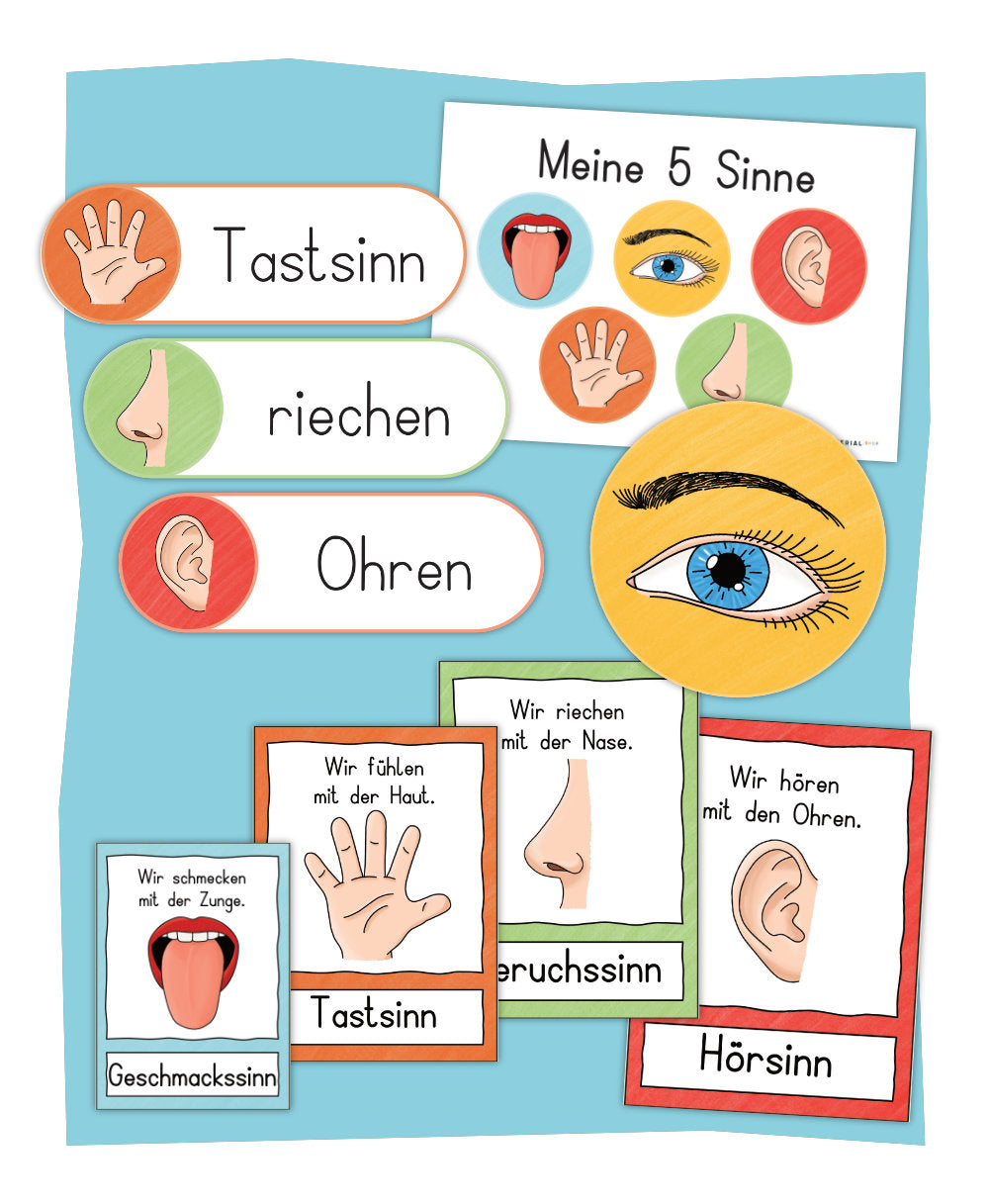 Bildkarten und Tafelmaterial Sinne