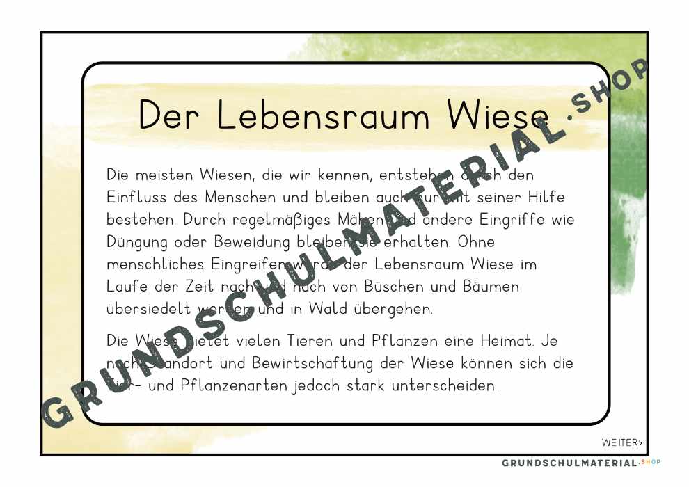 Materialpaket "Lebensraum Wiese"