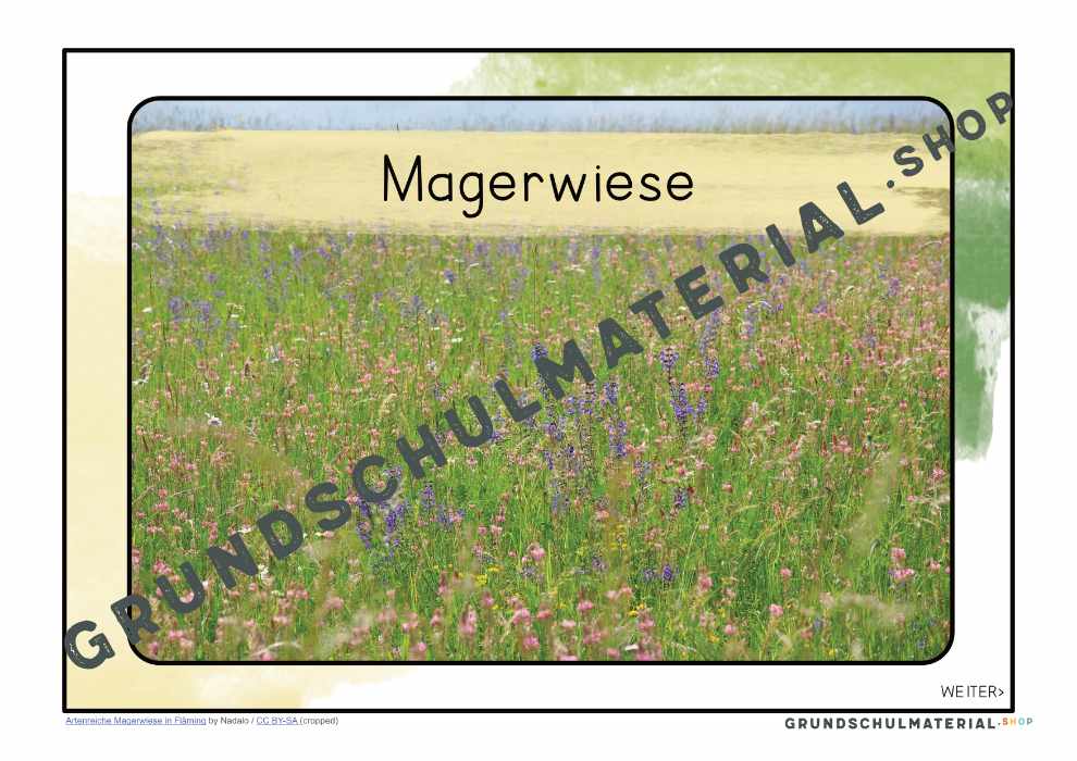 Materialpaket "Lebensraum Wiese"