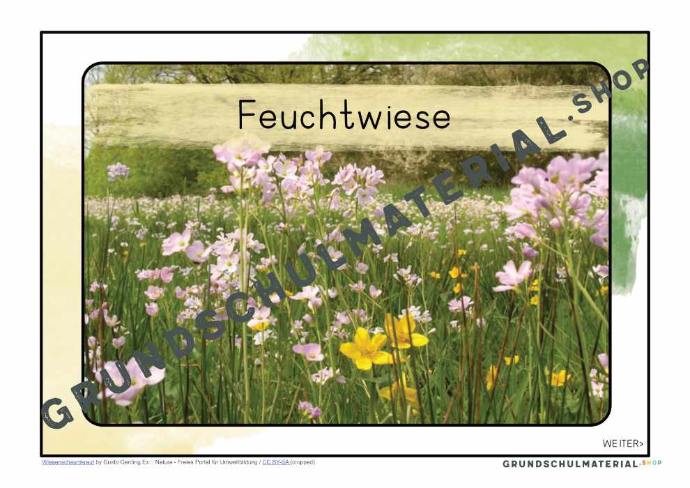 Materialpaket "Lebensraum Wiese"
