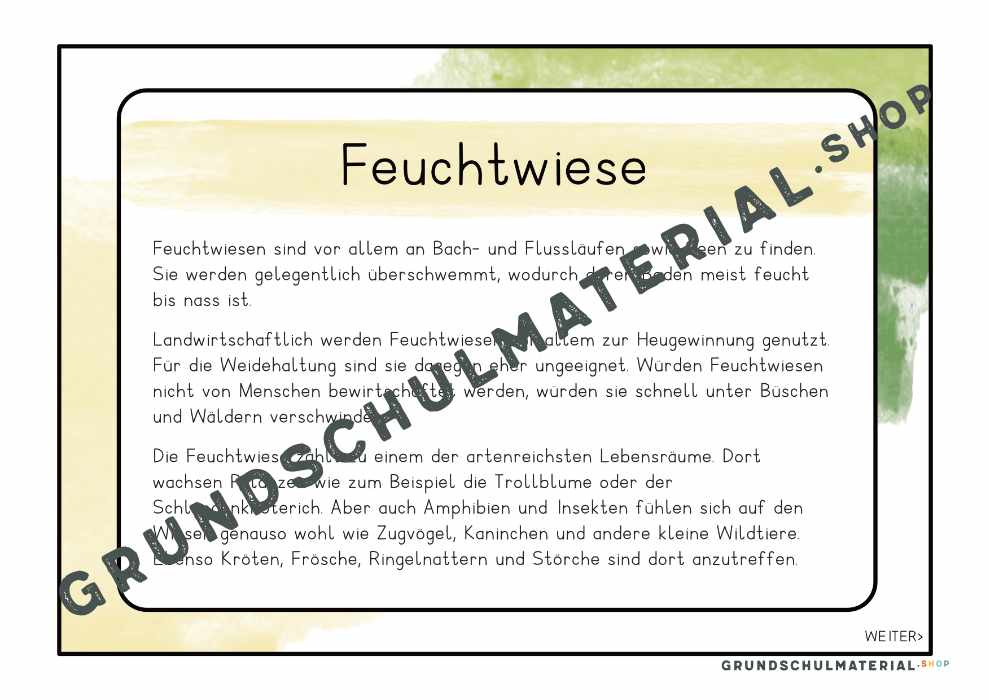 Materialpaket "Lebensraum Wiese"