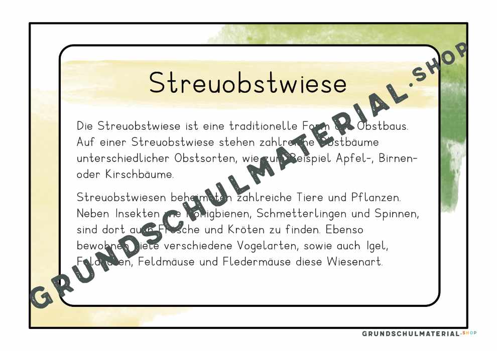 Materialpaket "Lebensraum Wiese"